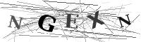 Please refresh your browser to see this image.